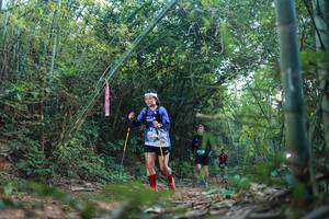 BIB: 
                            <button type="button" onclick="openModal(28025661)" class="btn btn-primary btn-sm float-right btn-popup" data-toggle="modal" data-target=".modal-high-quality">
                        <i class="fas fa-shopping-cart"></i> Add to Cart
                    </button>
                                            <button type="button" onclick="isThisMe(28025661, true)" class="btn btn-success btn-sm float-right btn-popup btn-isme hidden" data-toggle="tooltip" data-placement="bottom" title="นี่คือรูปของคุณใช่ไหม คลิกที่นี่เพื่อเอาเข้าอัลบั้ม">
                        <i class="fas fa-plus"></i> Add to album
                    </button>
                    <button type="button" onclick="isThisMe(28025661, false)" class="btn btn-warning btn-sm float-right btn-popup btn-isnotme hidden">
                        <i class="fas fa-ban"></i> Remove from album
                    </button>